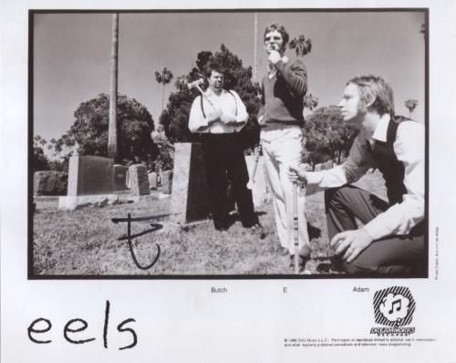eels