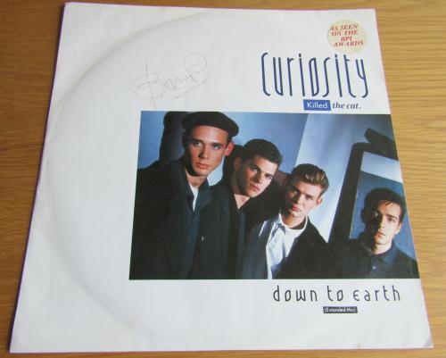 curiosity killed the cat