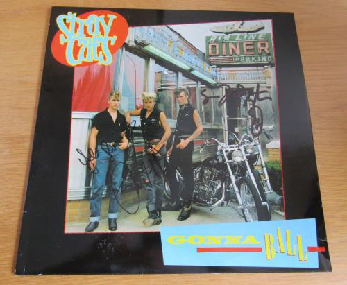 stray cats 