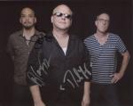 pixies