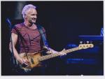sting
