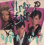 stray cats